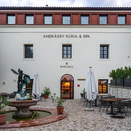 Andrassy Kuria & 5* Tarcal