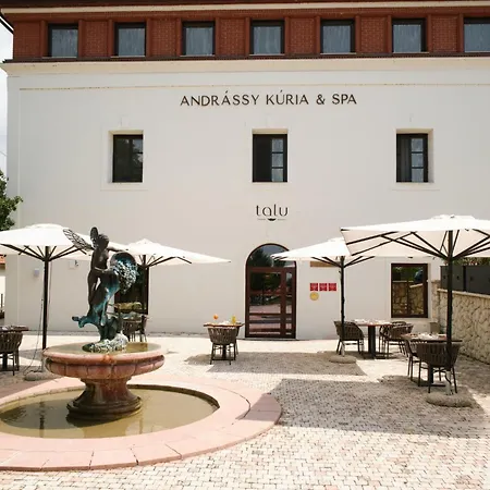 Hotel Andrassy Kuria & Tarcal